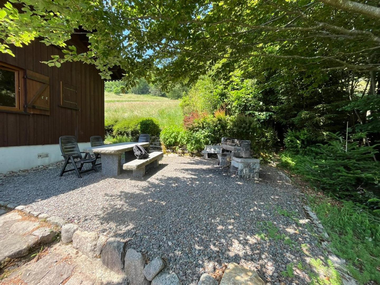 Chalet Bois Vue Panoramique : 2 Logements Et Sauna Bussang Exterior photo